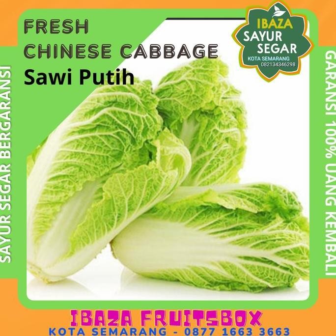 

Sayur Sawi Putih Sayur Segar IBAZA fruitsBOX