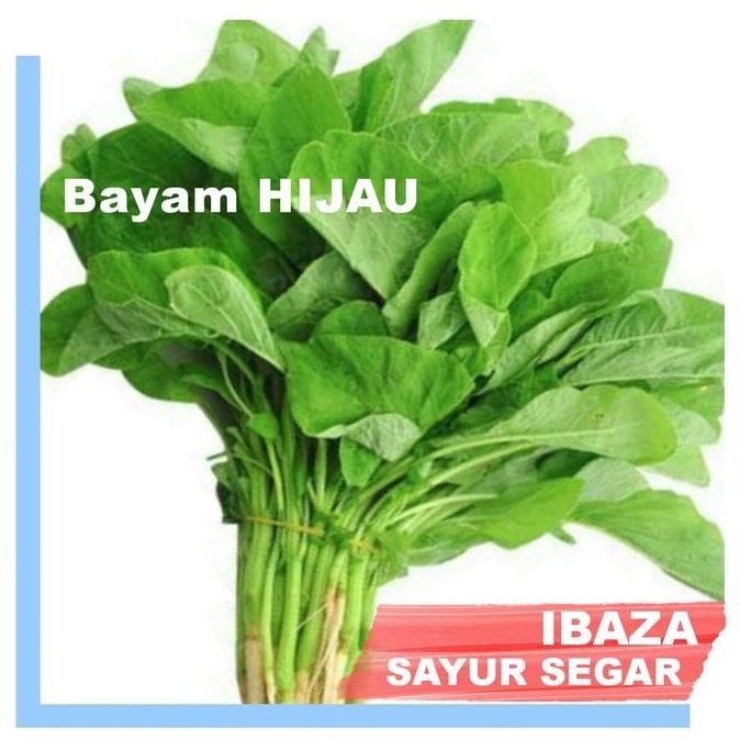 

BAYAM BAYAM HIJAU Sayur Segar IBAZA fruitsBOX