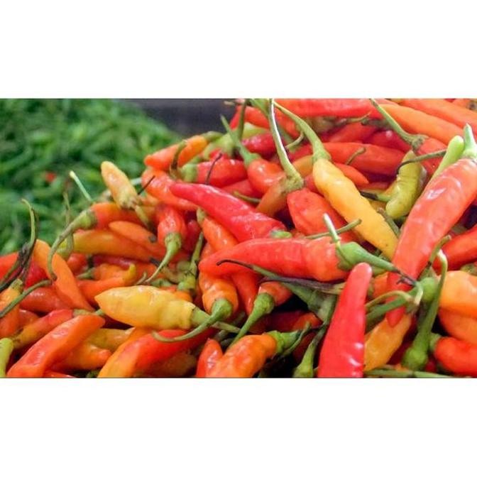 

Sayuran Segar Sayur PURWOKERTO FRESH Cabe / Cabai Rawit Merah 250 Gram