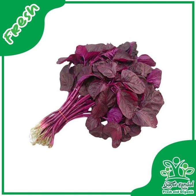 

Bayam Merah Segar - Sayur Kendal