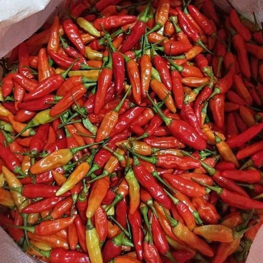 

Cabe Rawit Merah Ori 500Gr