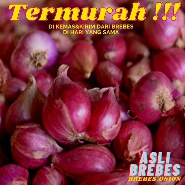 

bawang merah asli brebes