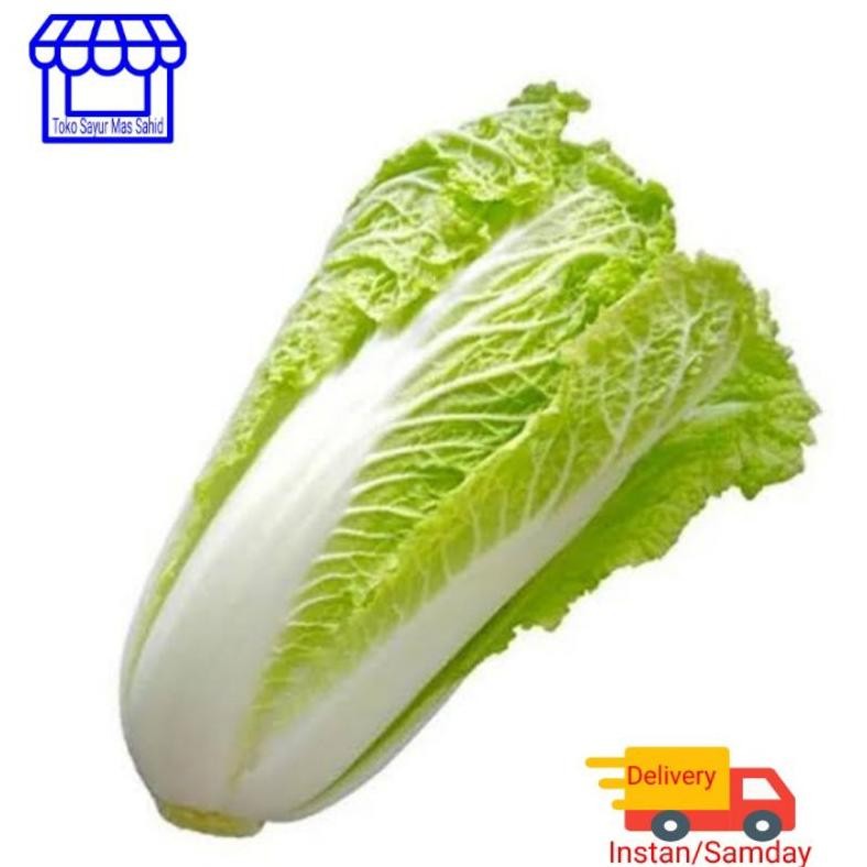 Sawi Putih Segar Sawi Putih Murah