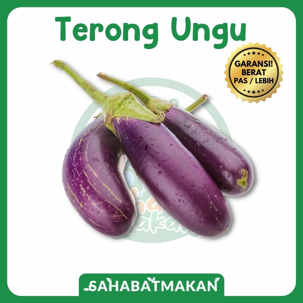 

Terong Ungu Sahabat Makan Sayur Jogja