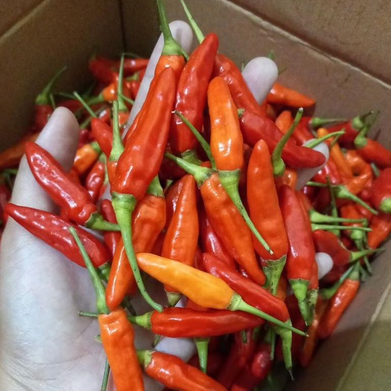 

Cabe / Cabai Rawit Merah ORI Super 1 kg Fresh