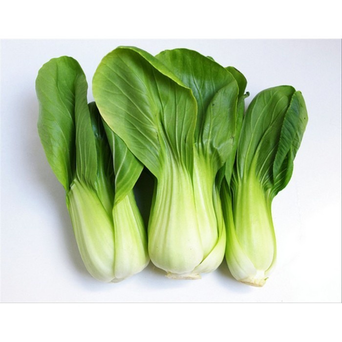 

Pakchoy Hidroponik Kiosayur