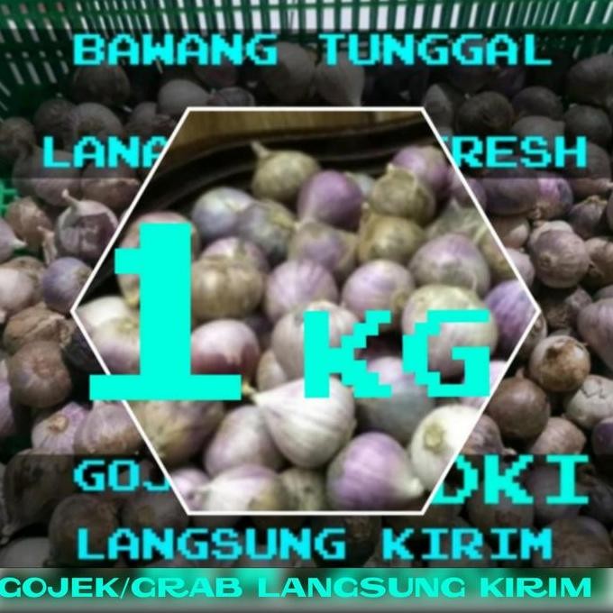 

Bawang Putih Tunggal-Bawang Lanang Herbal 1Kg