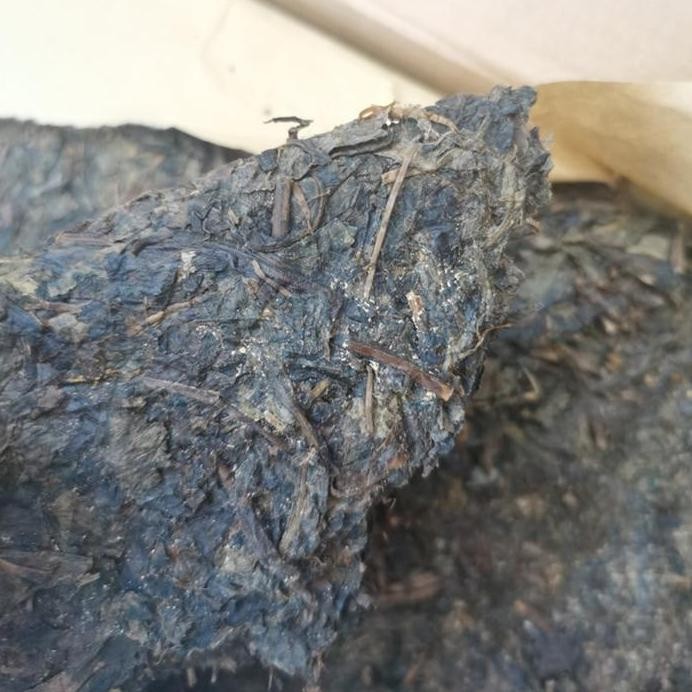 

Hunan Dark Tea Xiangyi Inheritance Anhua Golden Flower - 900Gr Maison Auratea