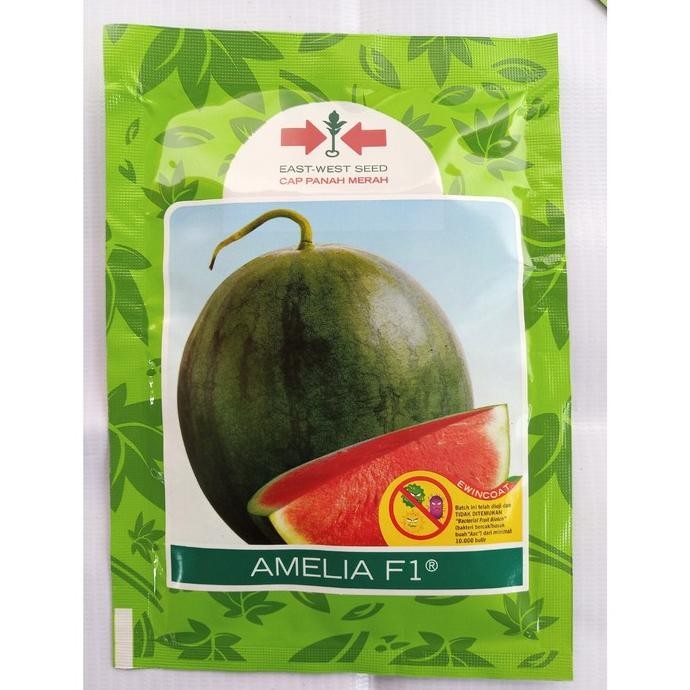 (Allthebest) Benih AMELIA F1 (360 Biji) - Bibit Semangka Non Biji Cap Panah Merah