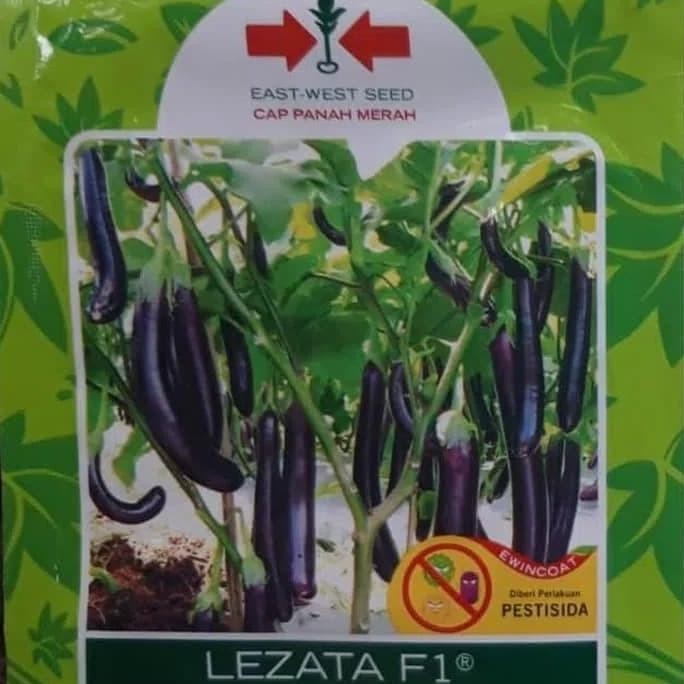 (Allthebest) Benih / bibit terong panjang LEZATA F1