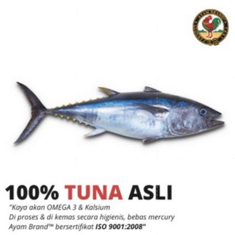 

ready Ayam Brand - Ikan Tuna Kaleng Saus Tomat Pedas 3 pcs 160gr murah