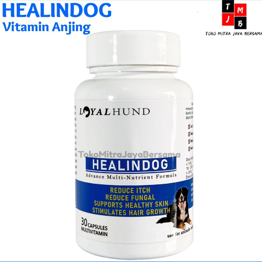Vitamin Anjing Bulu Rontok Obat Anjing Healindog Bulu Dog Food Obat Kulit