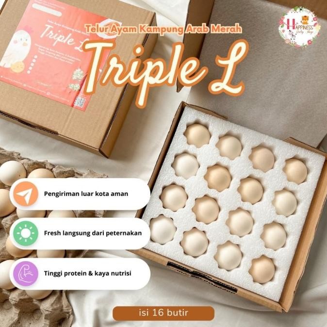 

(Expert) (PACKING AMAN) TRIPLE L TELUR / TELOR AYAM KAMPUNG ARAB FRESH ISI 16 BUTIR