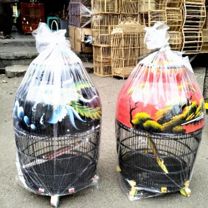 sangkar perkutut barong kandang kutut murah