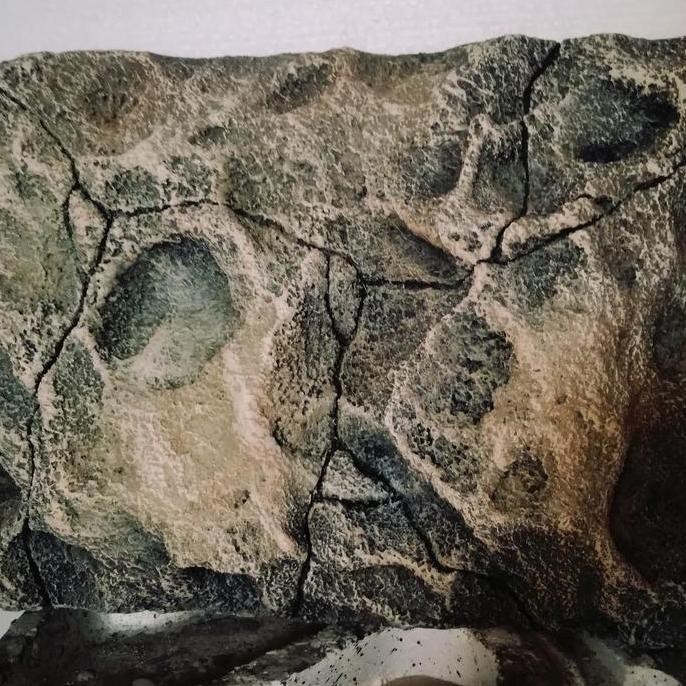 Background 3D Aquarium Model Tebing