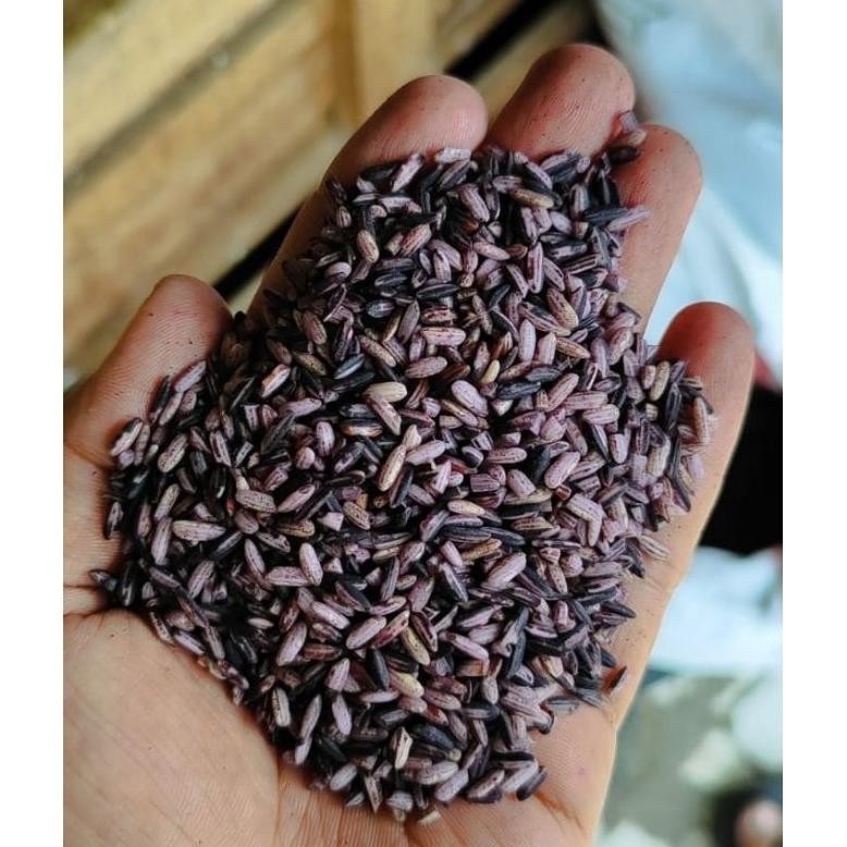 

Beras Ketan Hitam Sosoh 1kg Kualitas Bagus RB10