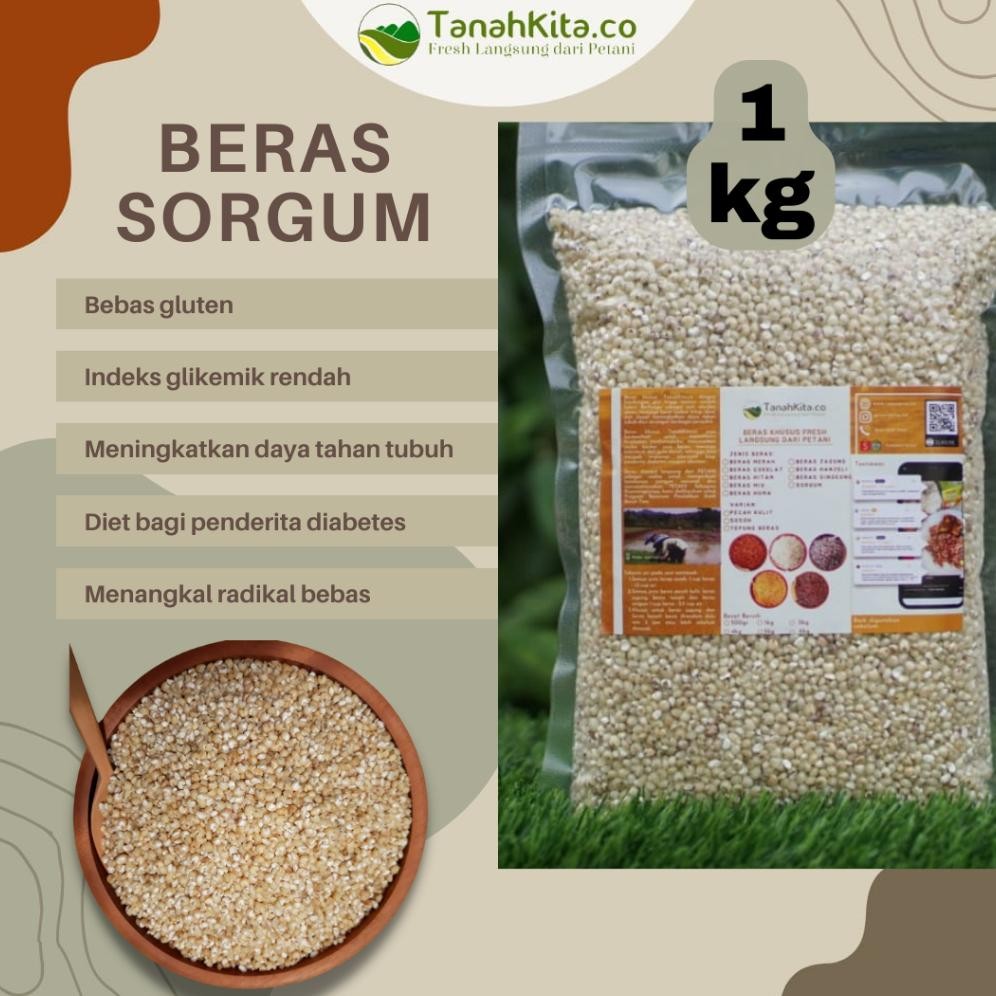 

Beras Sorgum Sosoh FRESH Langsung Dari Petani I Sorghum I 1kg Vacuum RB10