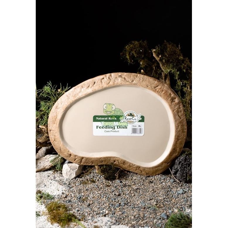 Feeding Dish size XL / tempat makan reptil / kura kura darat AST