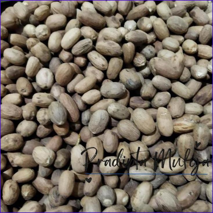 

Cuci Gudang..!! Biji Pala Lonjong 100Gr Bumbu Rempah Masakan