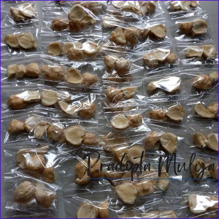 

Masih Ada.! Paket 10 Renceng Bumbu Dapur Kering Lada Kemiri Ketumbar As3M Jawa Baput Dan Teras!Masakan