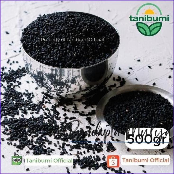

Yok Di Order Termurah Jintan Hitam 500G | Habbatussauda Premium | Kualitas Impor