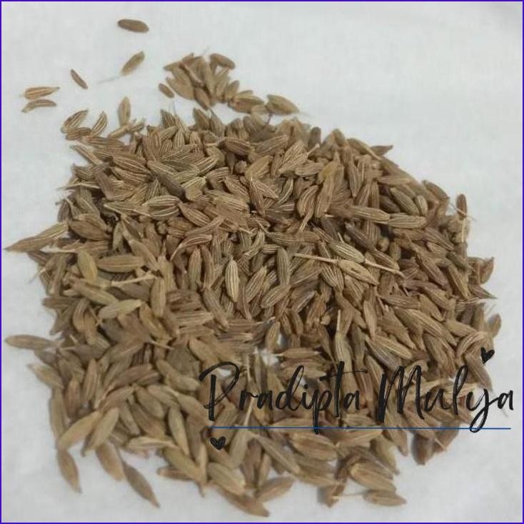 

Pasti Murah Jintan India Jeera Zeera 100 Gram