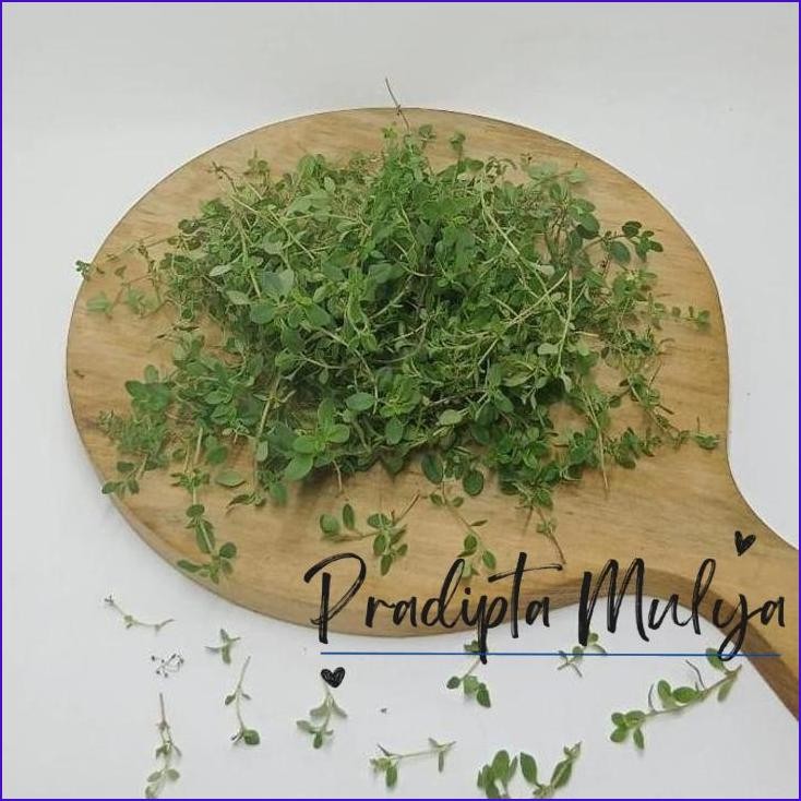 

Pasti Murah Rumah Sayur Daun Thyme Rempah [1 Pack]