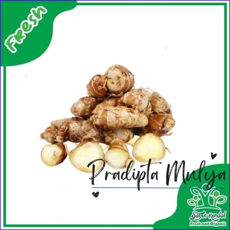 

Baru..!! Kencur (250Gr) - Sayur Kendal