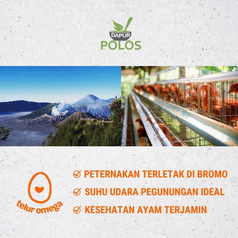 

TELUR AYAM OMEGA SEGAR ANTIOKSIDAN TINGGI 10 DAN 30 BUTIR