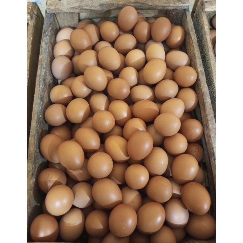 

1 TRAY TELUR AYAM NEGERI ISI 30 BUTIR