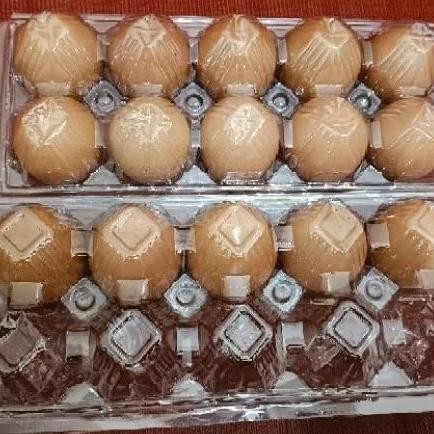 

TELUR AYAM OMEGA 3 PILIHAN TERMURAH