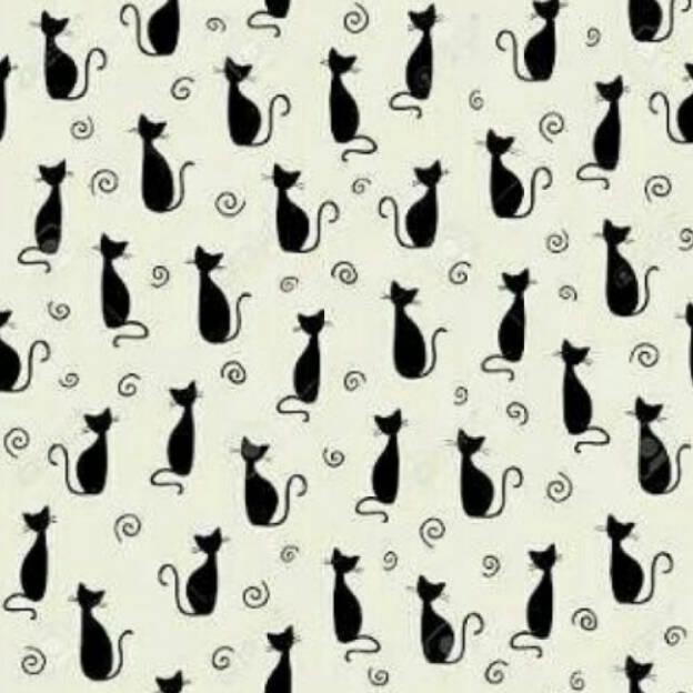 Roll cat motif dinding