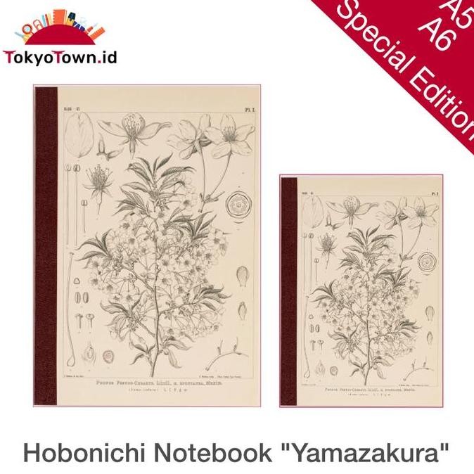 

Hobonichi Plain Notebook Yamazakura Tomoe River