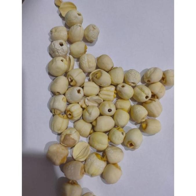 

500Gr Biji Teratai/ White Lotus Seed / Lian Zhi / Lienci / Bai Lian Zi