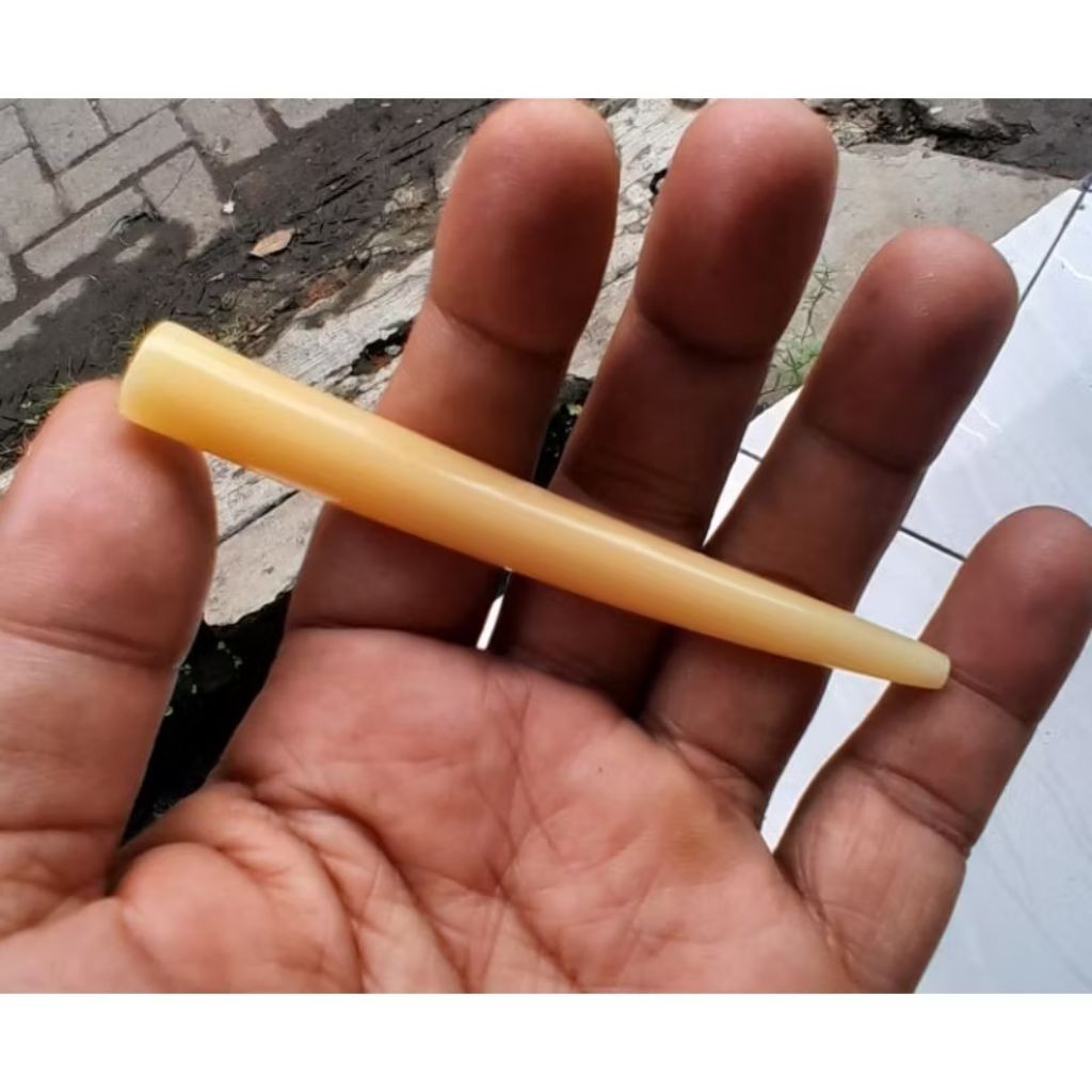 once pipe krajinan balung sapi limosin berkualitas