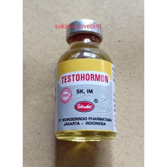 Testohormon 20 ml AST