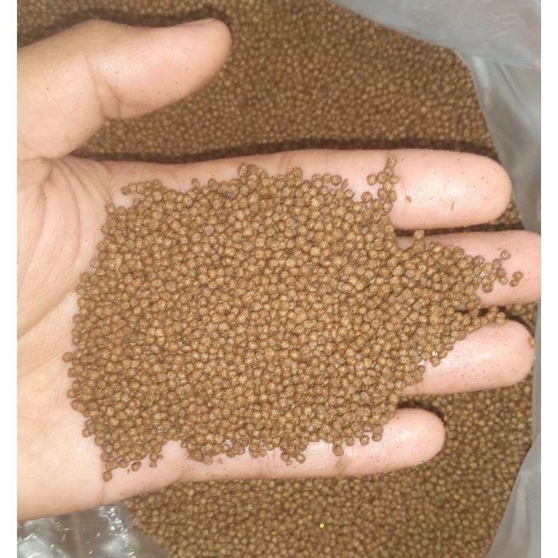 pelet ikan 781-1 HI-PROVIT AST