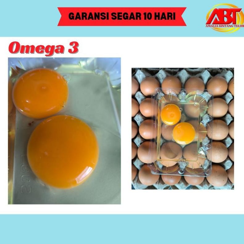 

Eelic Abt - Telur Ayam Omega 3 1 Tray Isi 30 Butir Gd-8