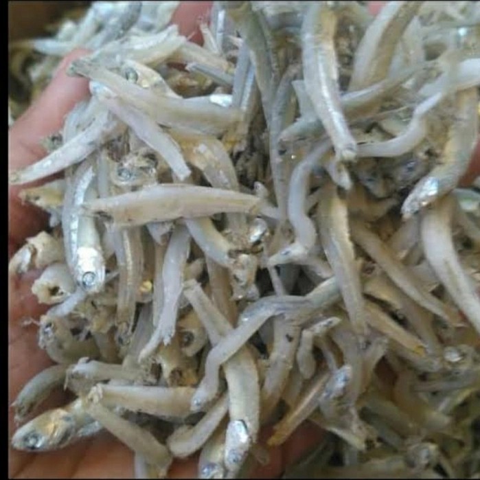 

ikan teri jengki fresh/ikan asin mentah 500gr