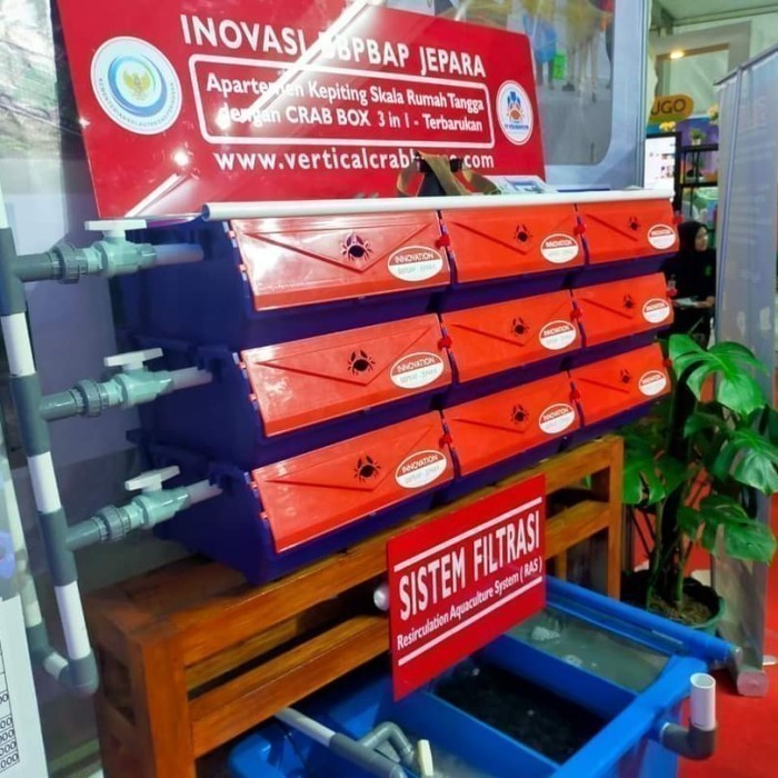 Apartemen kepiting box crab Harga Murah