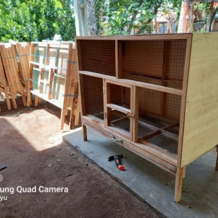 TERBARU kandang ayam bangkok hias PROMO