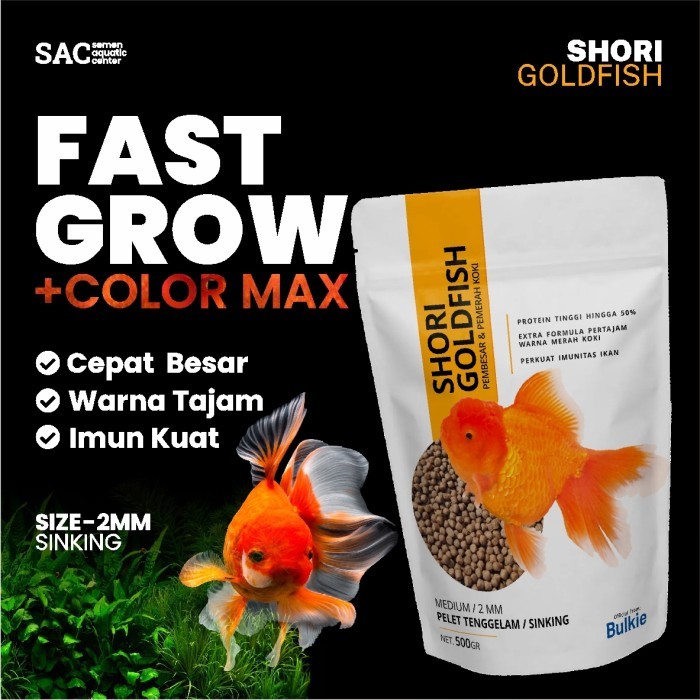 TERBARU PAKAN PREMIUM IKAN KOKI PELET IKAN KOKI SHORI UNTUK BULKIE DAN WARNA BISA GOSEND