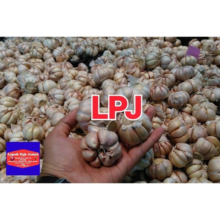 

TERLARIS BAWANG PUTIH BIASA/HONAN - 1 KG - LPJ MURAH!!! MURAH