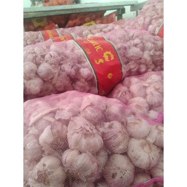 

TERLARIS BAWANG PUTIH 20KG/BAWANG PUTIH 20KG/1SAK MURAH!!! MURAH