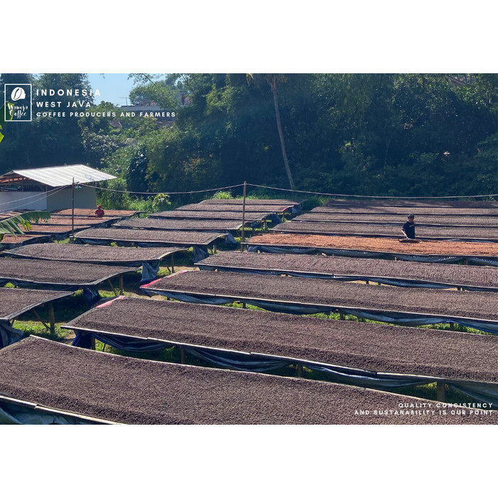 

Green Bean Arabica Extended Natural Jawa Barat Kamojang