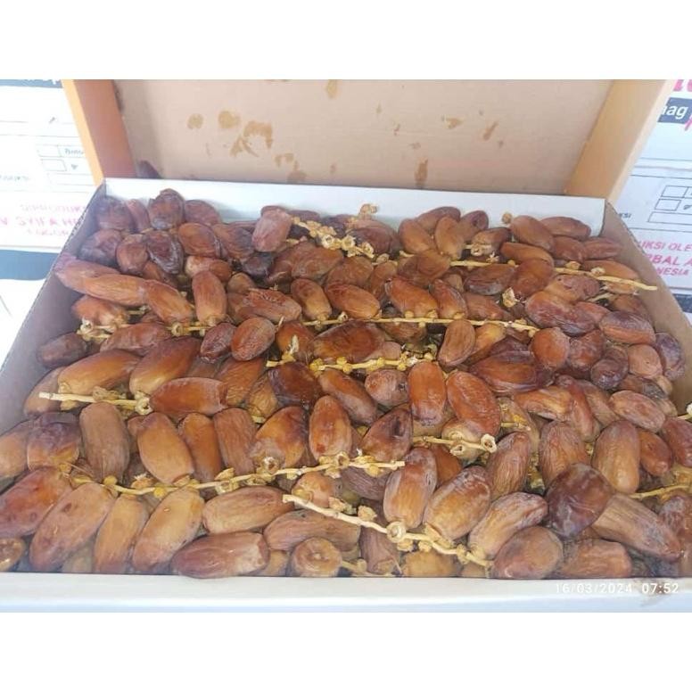 

kurma palm tunis tangkai dus 5kg tunisia tangkai