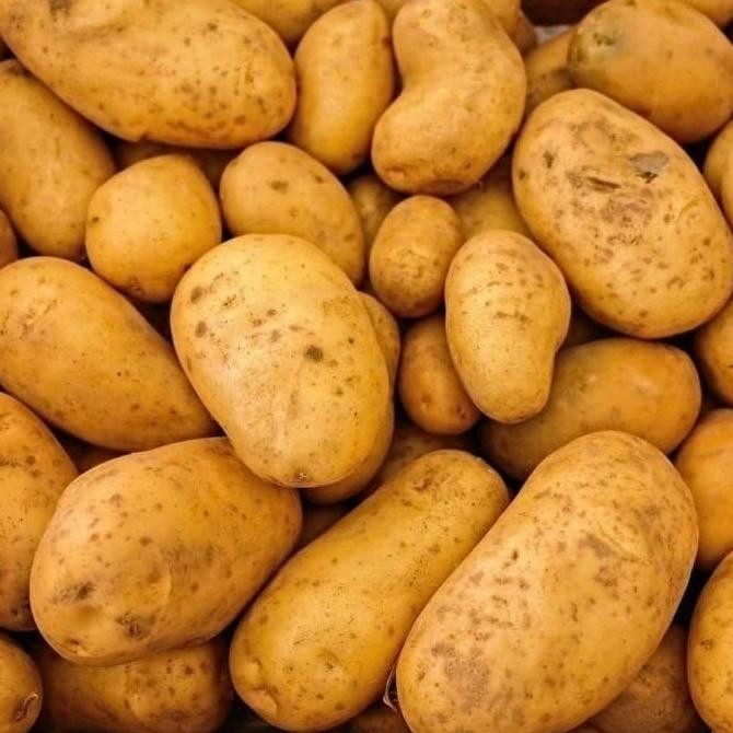 

Kentang Dieng Fresh /1Kg Original
