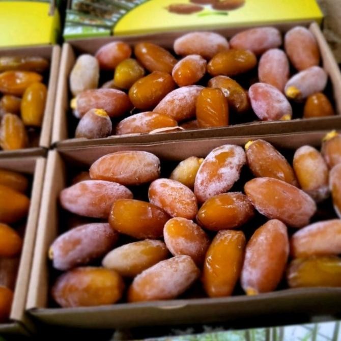 

RUTHOB KURMA MUDA FROZEN KHUSUS INSTAN