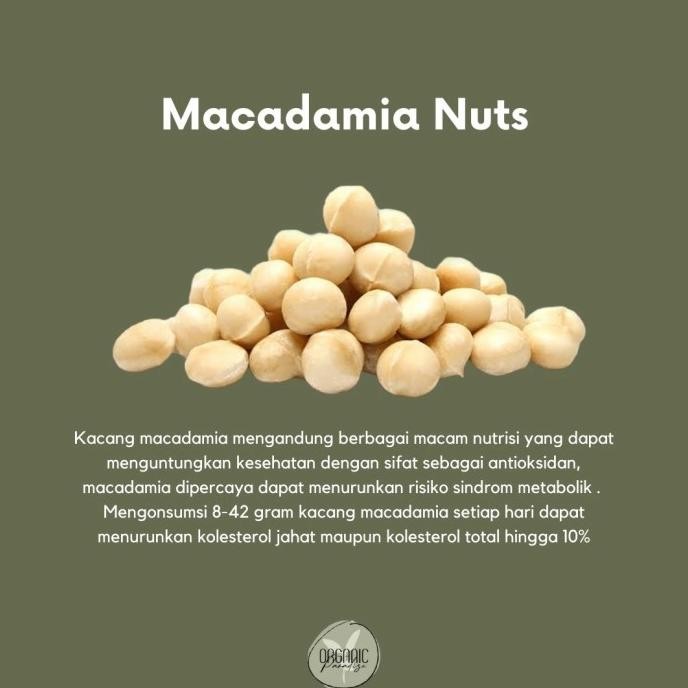 

NEW PRODUK MACADAMIA NUT 1 KG PREMIUM / KACANG MACADAMIA 1 KG PREMIUM !!!!!