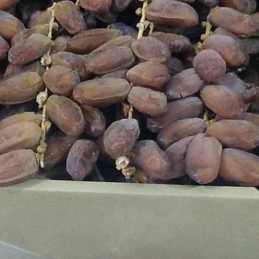

Kurma Tangkai Afia' Dates 5Kg Fres Degleg Noor From Algeria Storeemelati